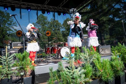 24. Piknik Leśny